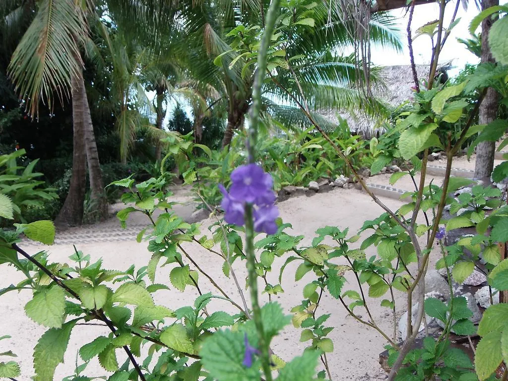 Fare Arana Moorea Guesthouse Atiha Frans-Polynesië